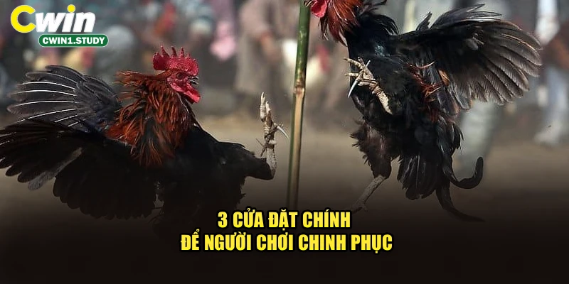 3 cửa đặt chính để người chơi chinh phục