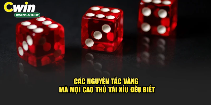 Các nguyên tắc vàng mà mọi cao thủ Tài Xỉu đều biết