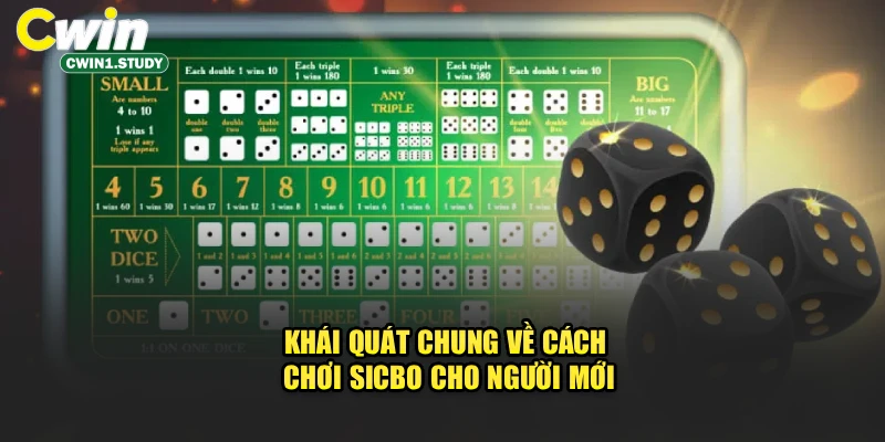 Khái quát chung về cách chơi Sicbo cho người mới