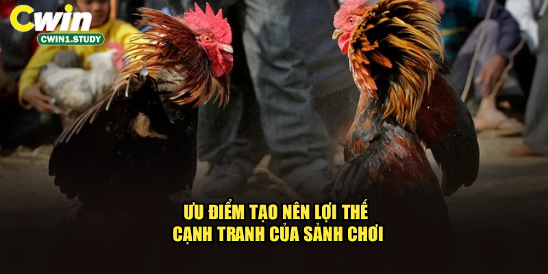 Ưu điểm tạo nên lợi thế cạnh tranh của sảnh chơi